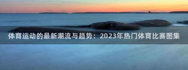 3377体育com
