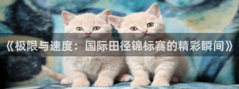 3377体育是正规平台吗