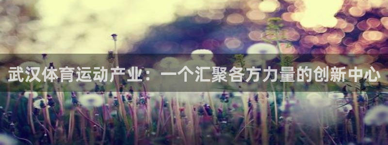 3377体育app官方下载