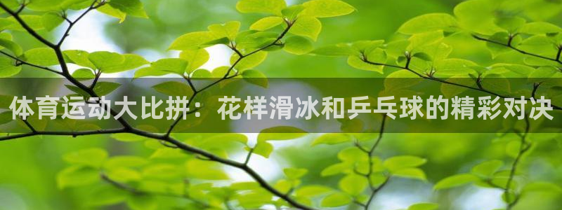 3377体育网页登录入口：体育运动大比拼：花样滑冰和乒乓球的精彩对决