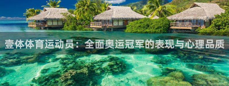3377体育官网入口网页版：壹体体育运动员：全面奥运冠军的表现与心理品质