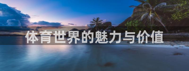 3377体育中国官方网站入口：体育世界的魅力与价值