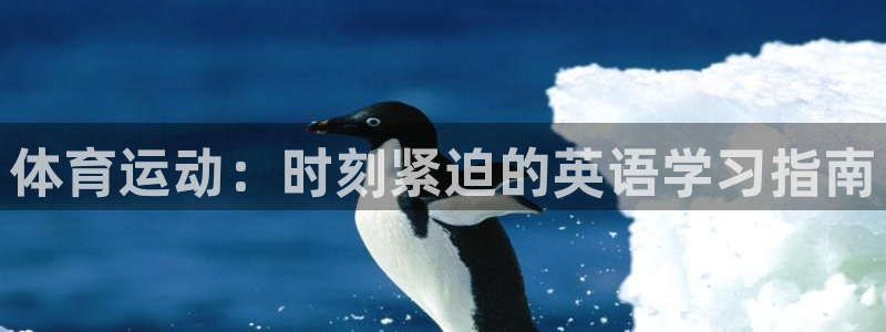 3377体育在线登录官网入口：体育运动：时刻紧迫的英语学习指南