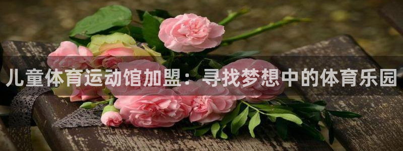 3377体育靠谱吗：儿童体育运动馆加盟：寻找梦想中的体育乐园