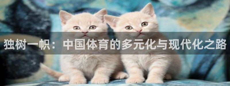 3377体育：独树一帜：中国体育的多元化与现代化之路