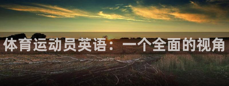 3377体育是正规的吗