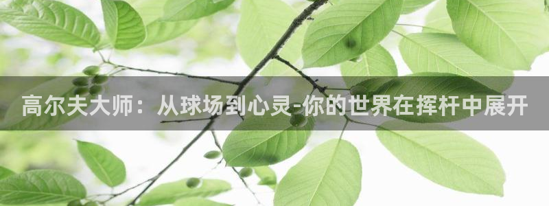 3377体育靠谱吗