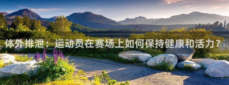 3377体育网页登录入口：体外排泄：运动员在赛场上如何保持健康和活力？