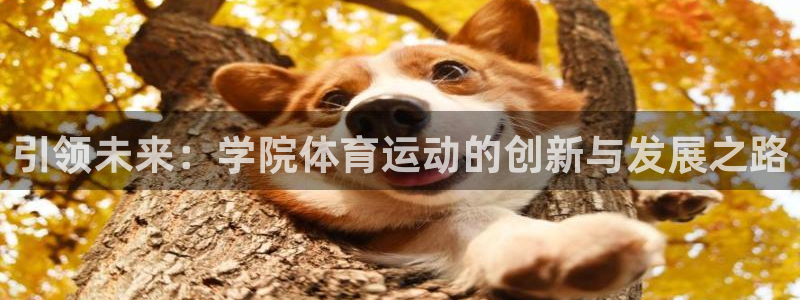 3377体育官网下载：引领未来：学院体育运动的创新与发展之路