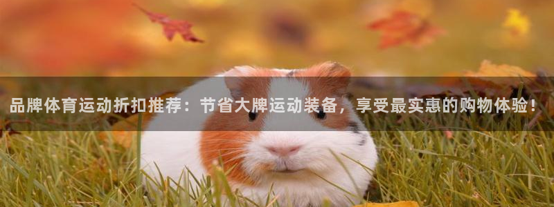 3377体育在线：品牌体育运动折扣推荐：节省大牌运动装备，享受最实惠的购物体验！